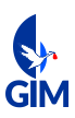 gimmovers